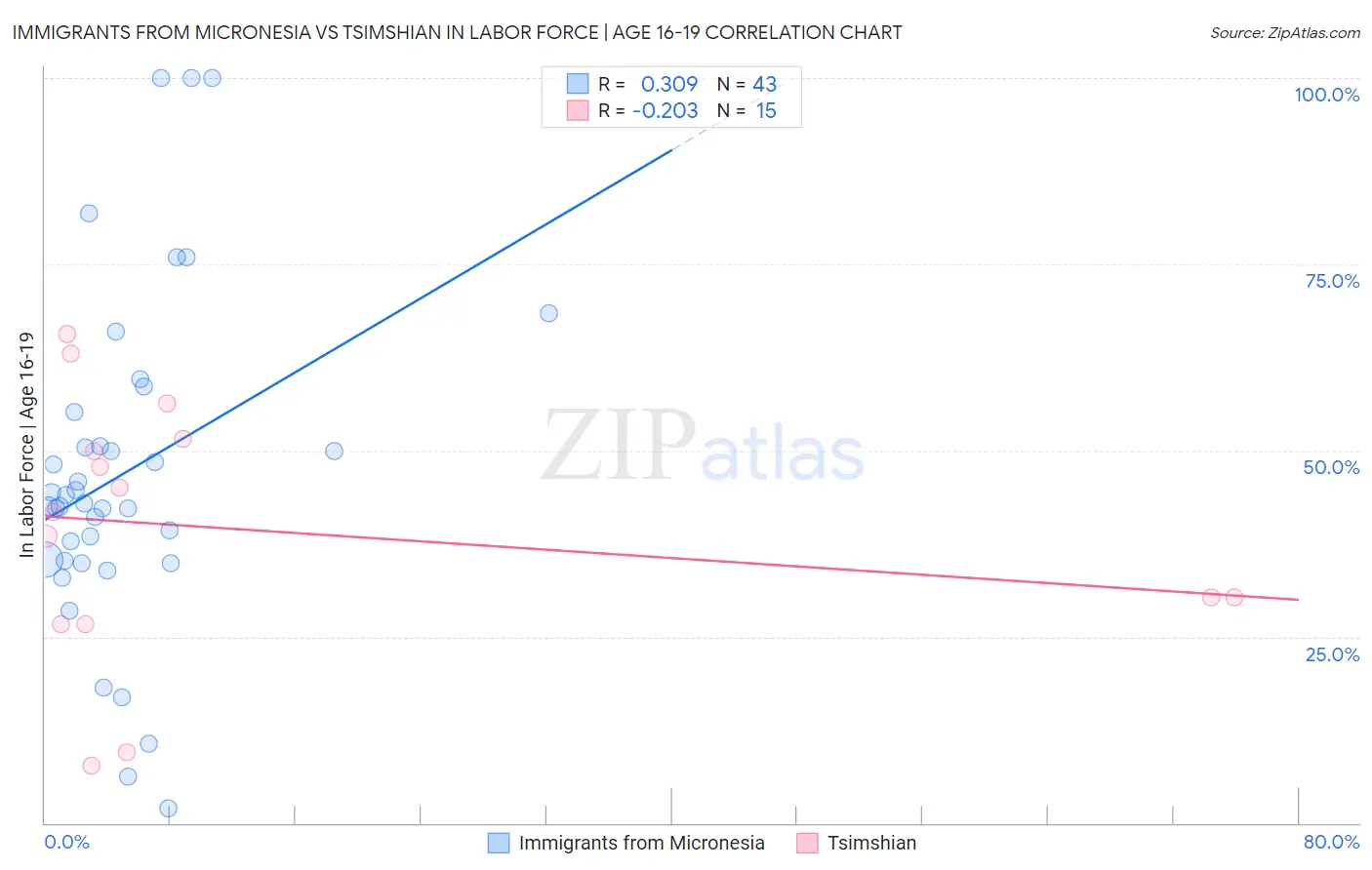 Immigrants from Micronesia vs Tsimshian In Labor Force | Age 16-19