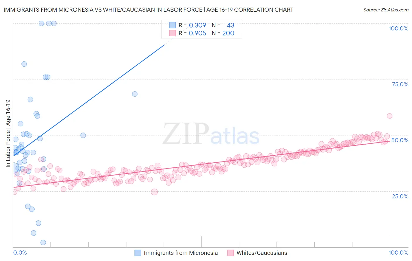Immigrants from Micronesia vs White/Caucasian In Labor Force | Age 16-19