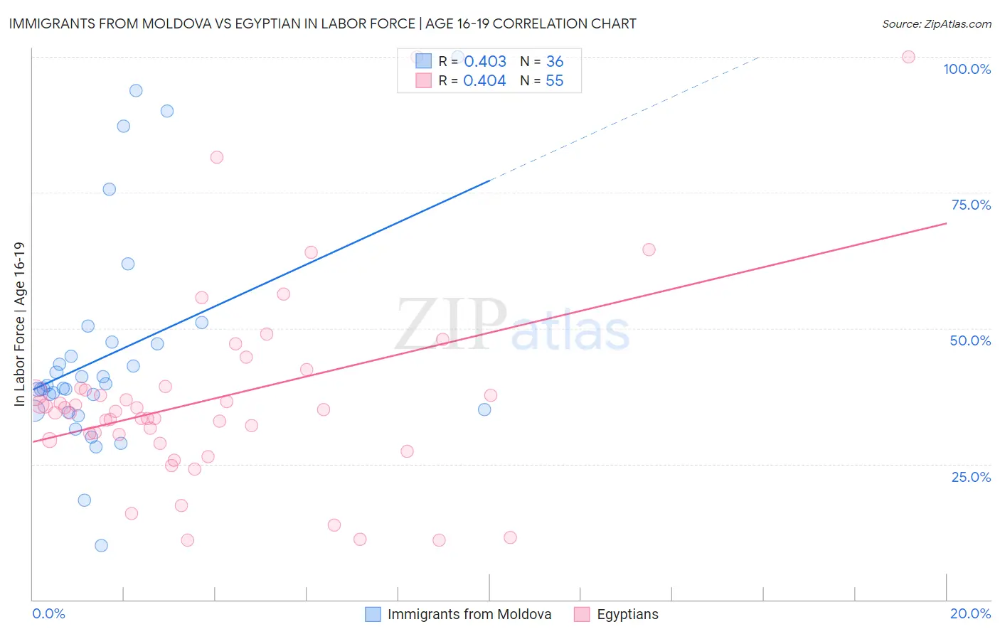 Immigrants from Moldova vs Egyptian In Labor Force | Age 16-19