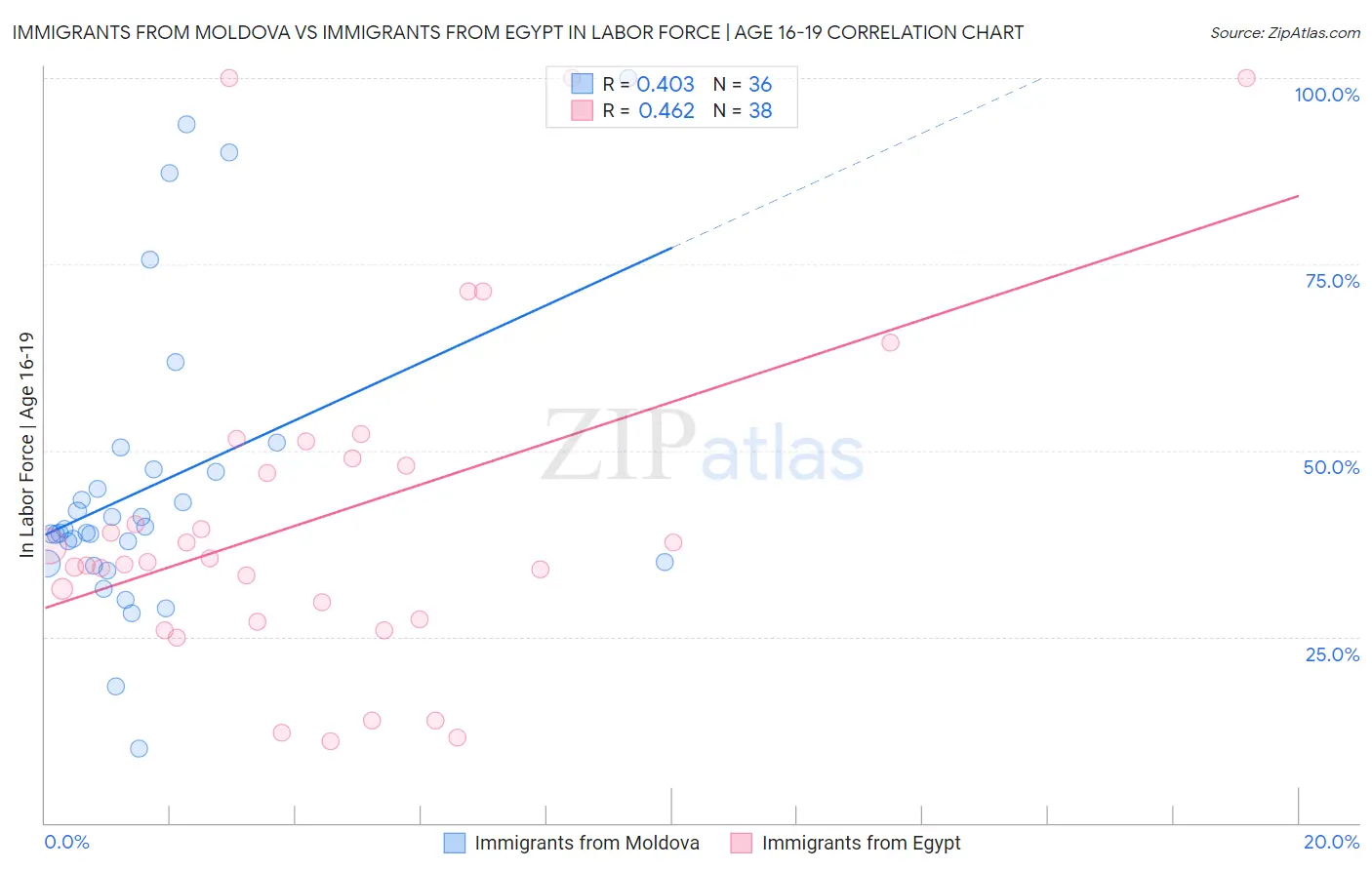 Immigrants from Moldova vs Immigrants from Egypt In Labor Force | Age 16-19