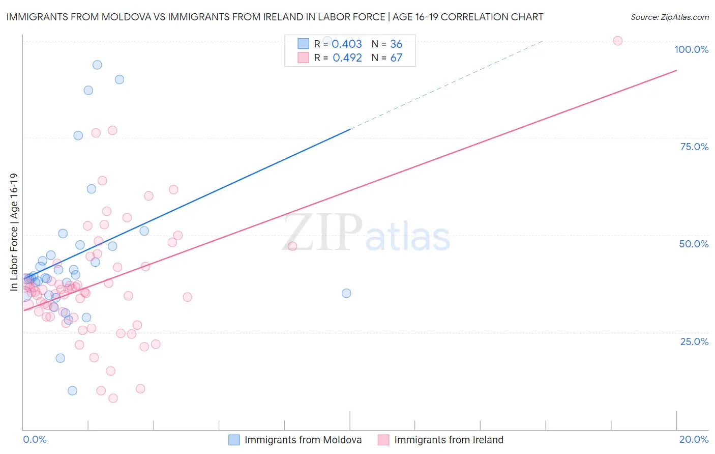 Immigrants from Moldova vs Immigrants from Ireland In Labor Force | Age 16-19