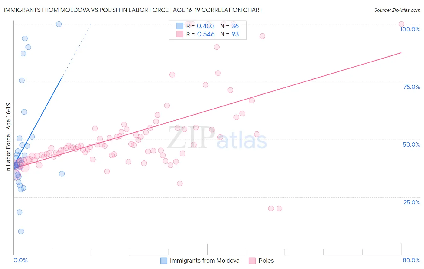 Immigrants from Moldova vs Polish In Labor Force | Age 16-19