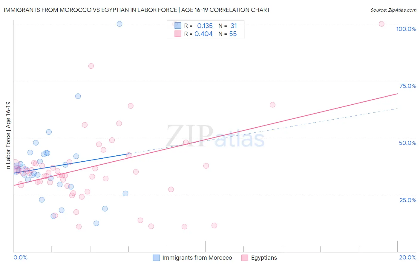 Immigrants from Morocco vs Egyptian In Labor Force | Age 16-19