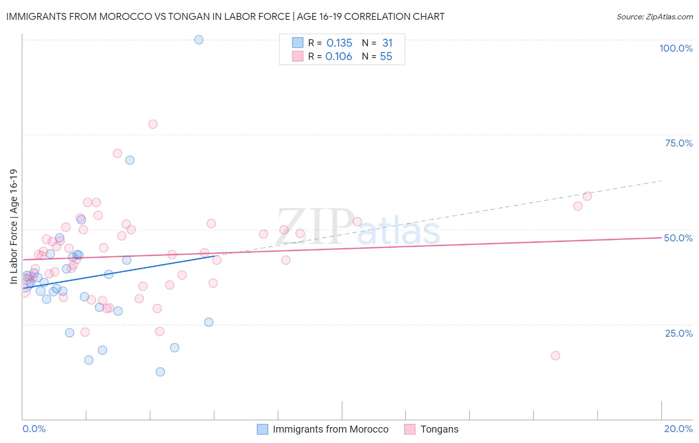 Immigrants from Morocco vs Tongan In Labor Force | Age 16-19