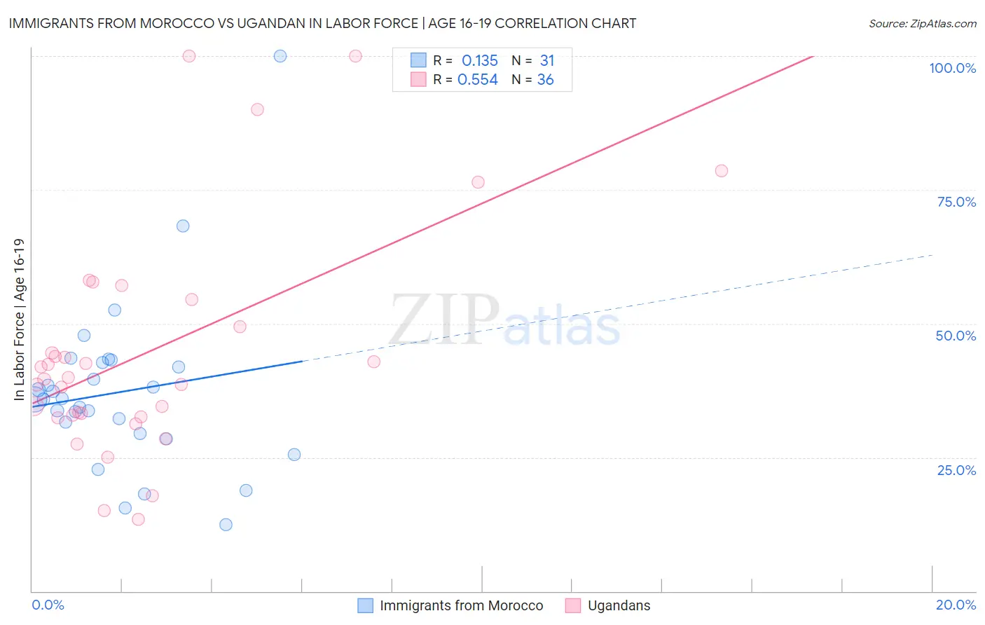 Immigrants from Morocco vs Ugandan In Labor Force | Age 16-19