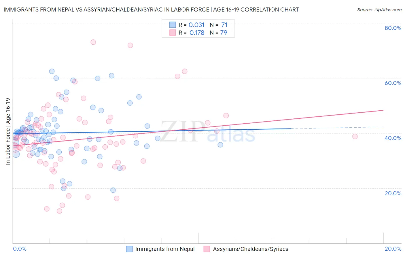 Immigrants from Nepal vs Assyrian/Chaldean/Syriac In Labor Force | Age 16-19