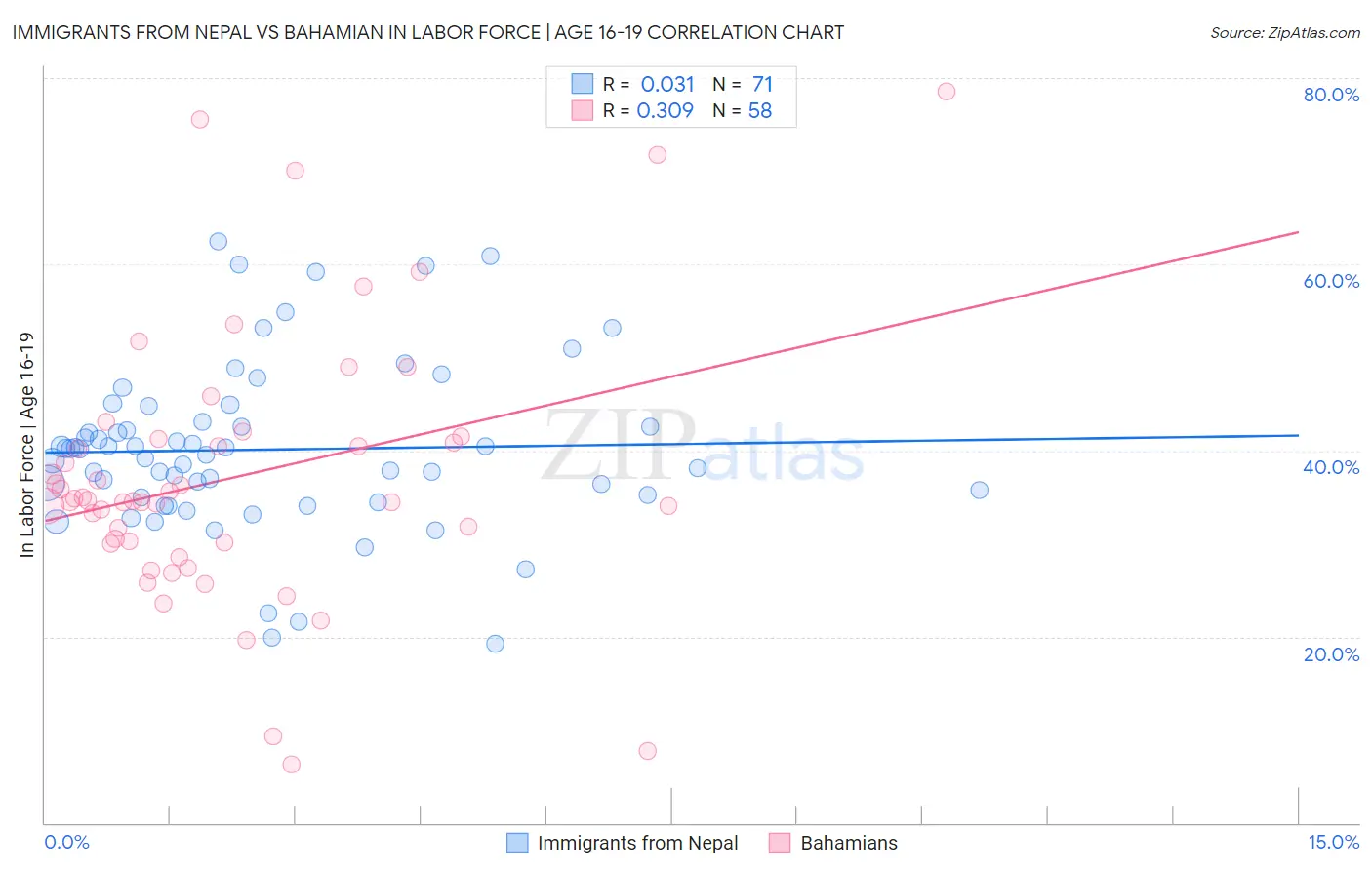 Immigrants from Nepal vs Bahamian In Labor Force | Age 16-19