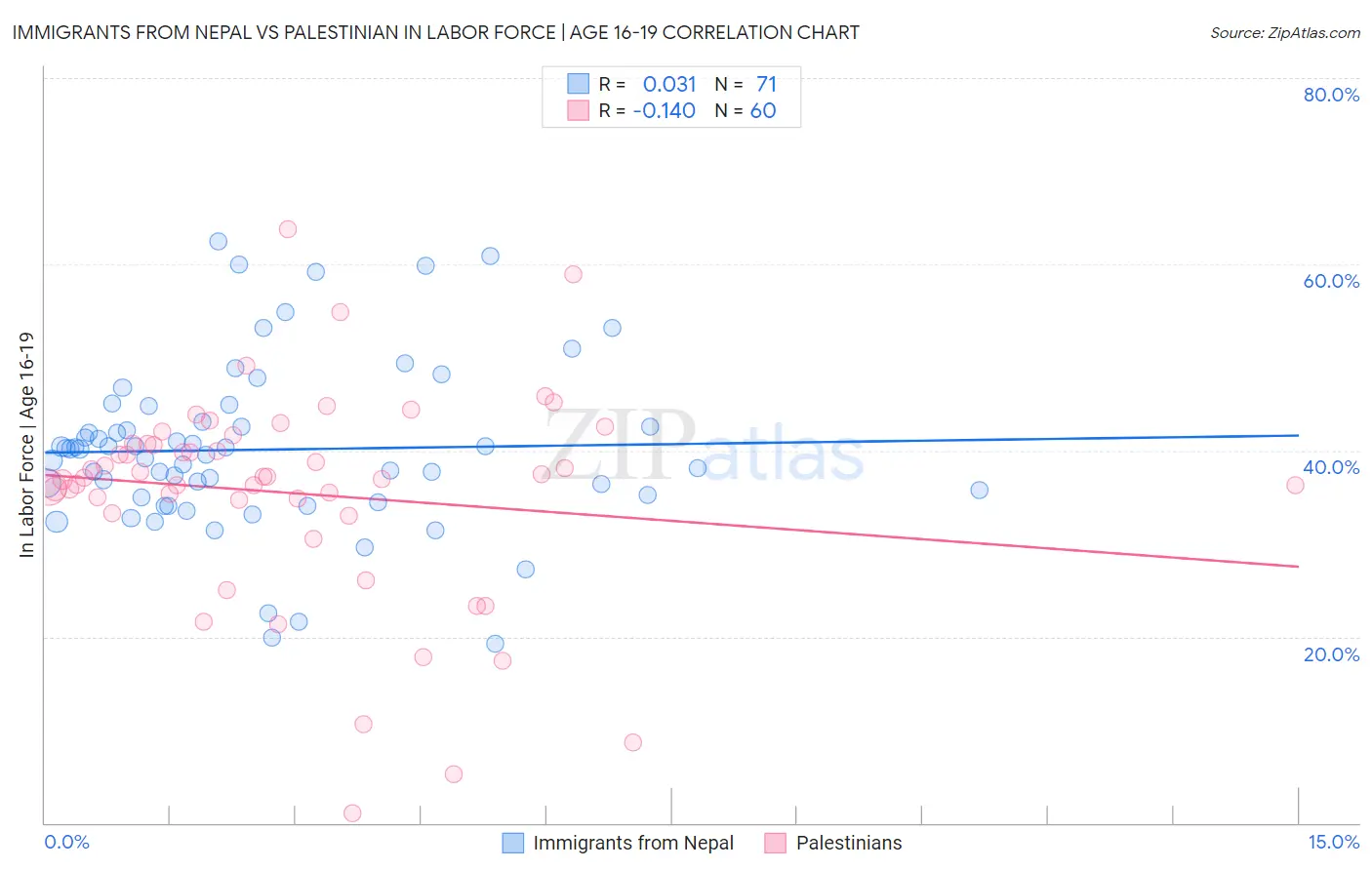 Immigrants from Nepal vs Palestinian In Labor Force | Age 16-19