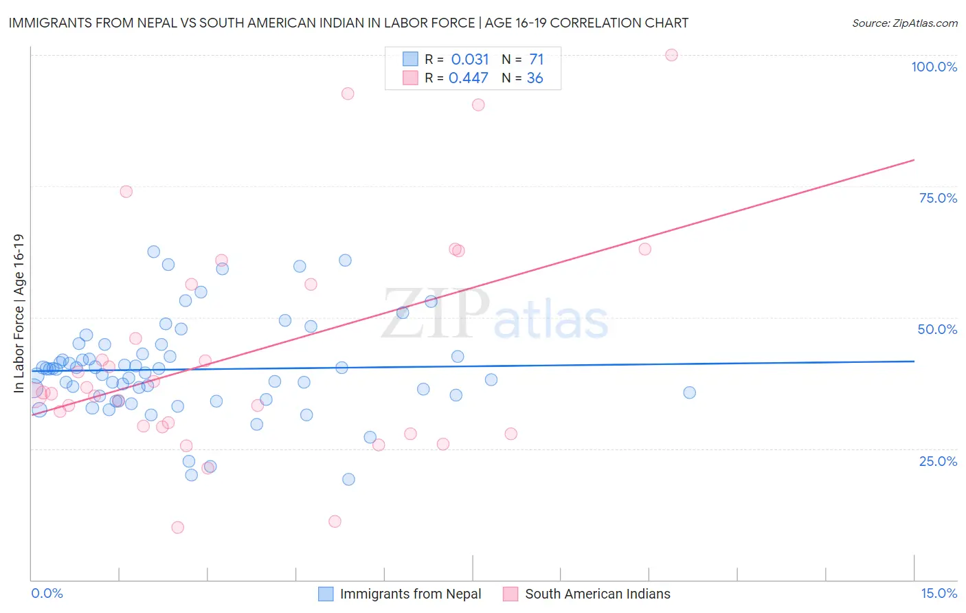 Immigrants from Nepal vs South American Indian In Labor Force | Age 16-19