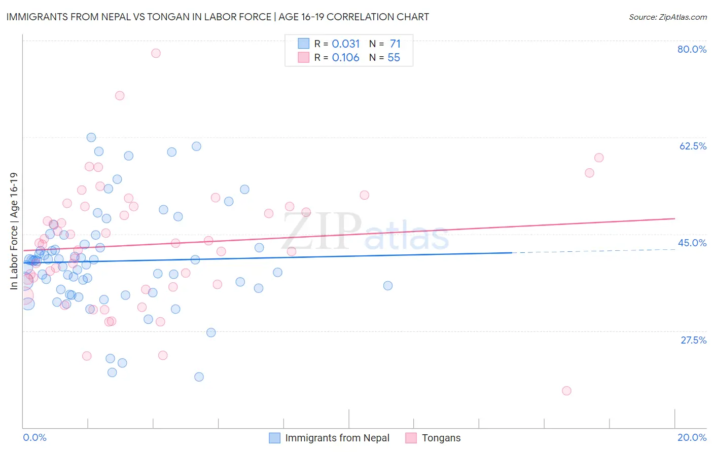 Immigrants from Nepal vs Tongan In Labor Force | Age 16-19