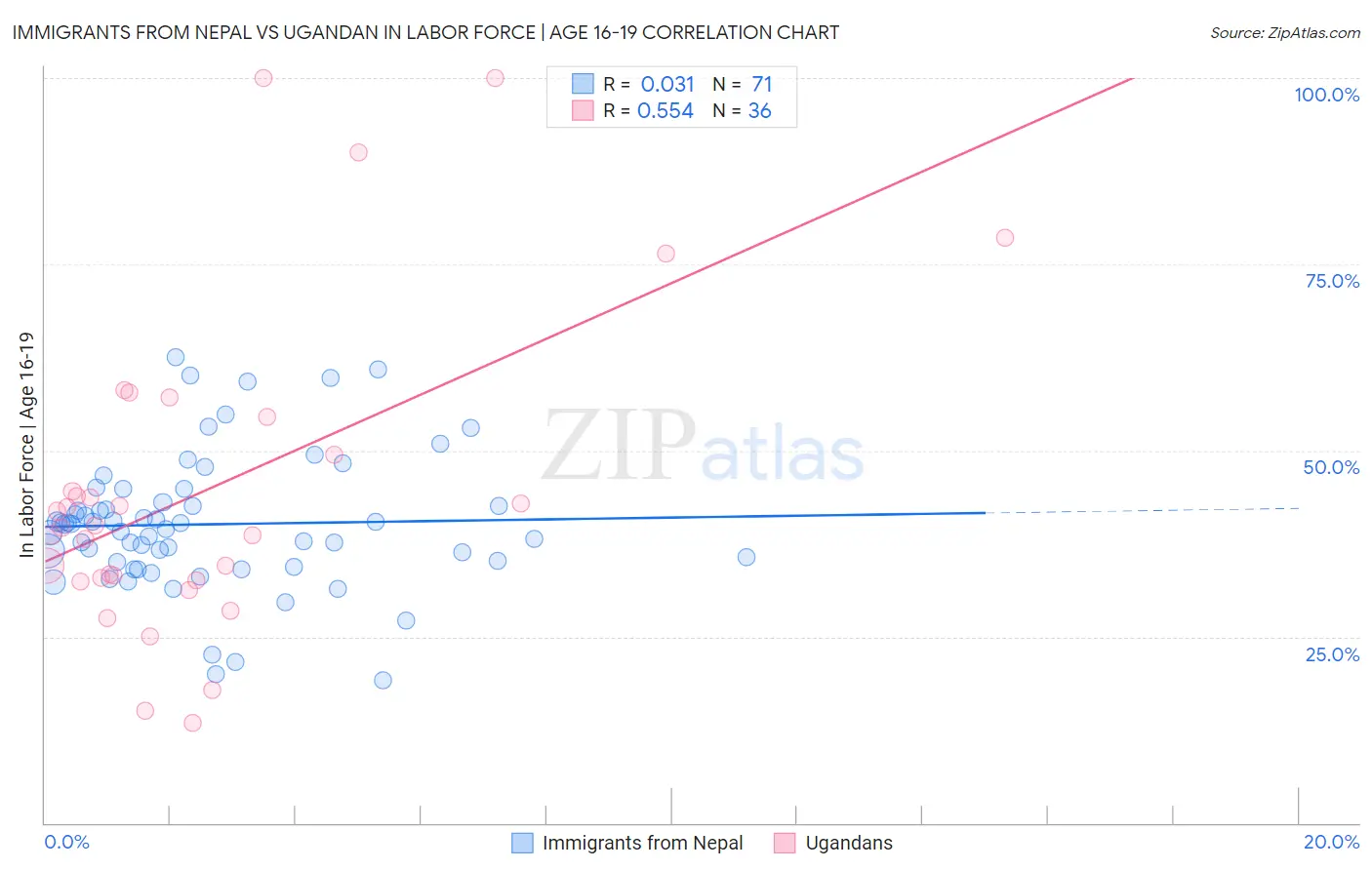 Immigrants from Nepal vs Ugandan In Labor Force | Age 16-19
