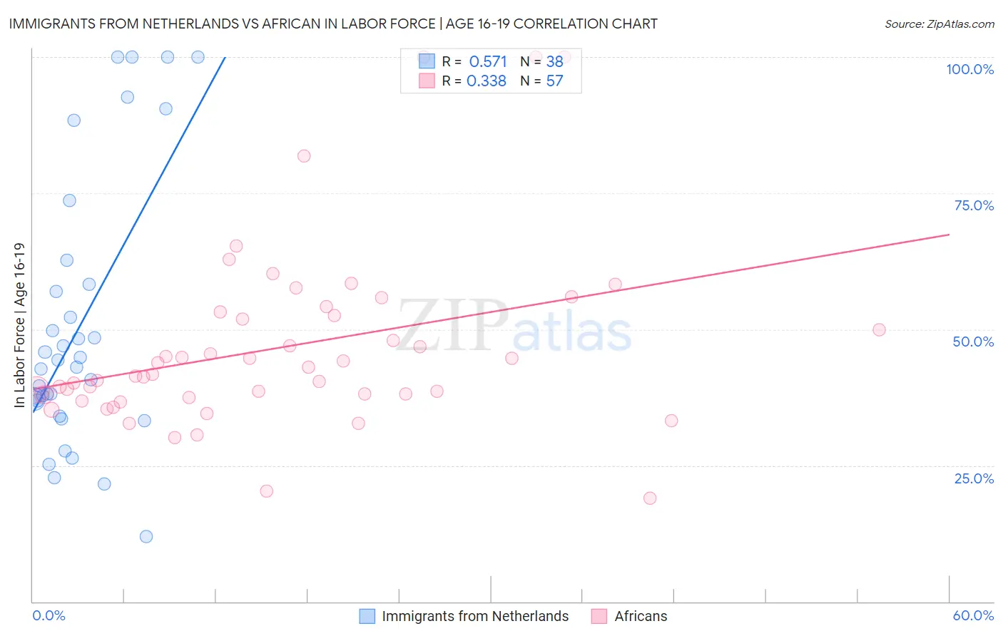 Immigrants from Netherlands vs African In Labor Force | Age 16-19