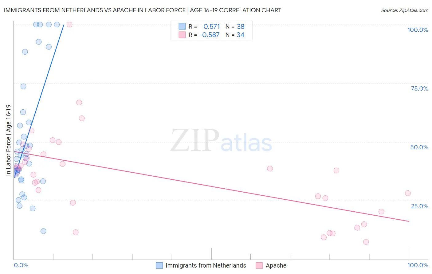 Immigrants from Netherlands vs Apache In Labor Force | Age 16-19
