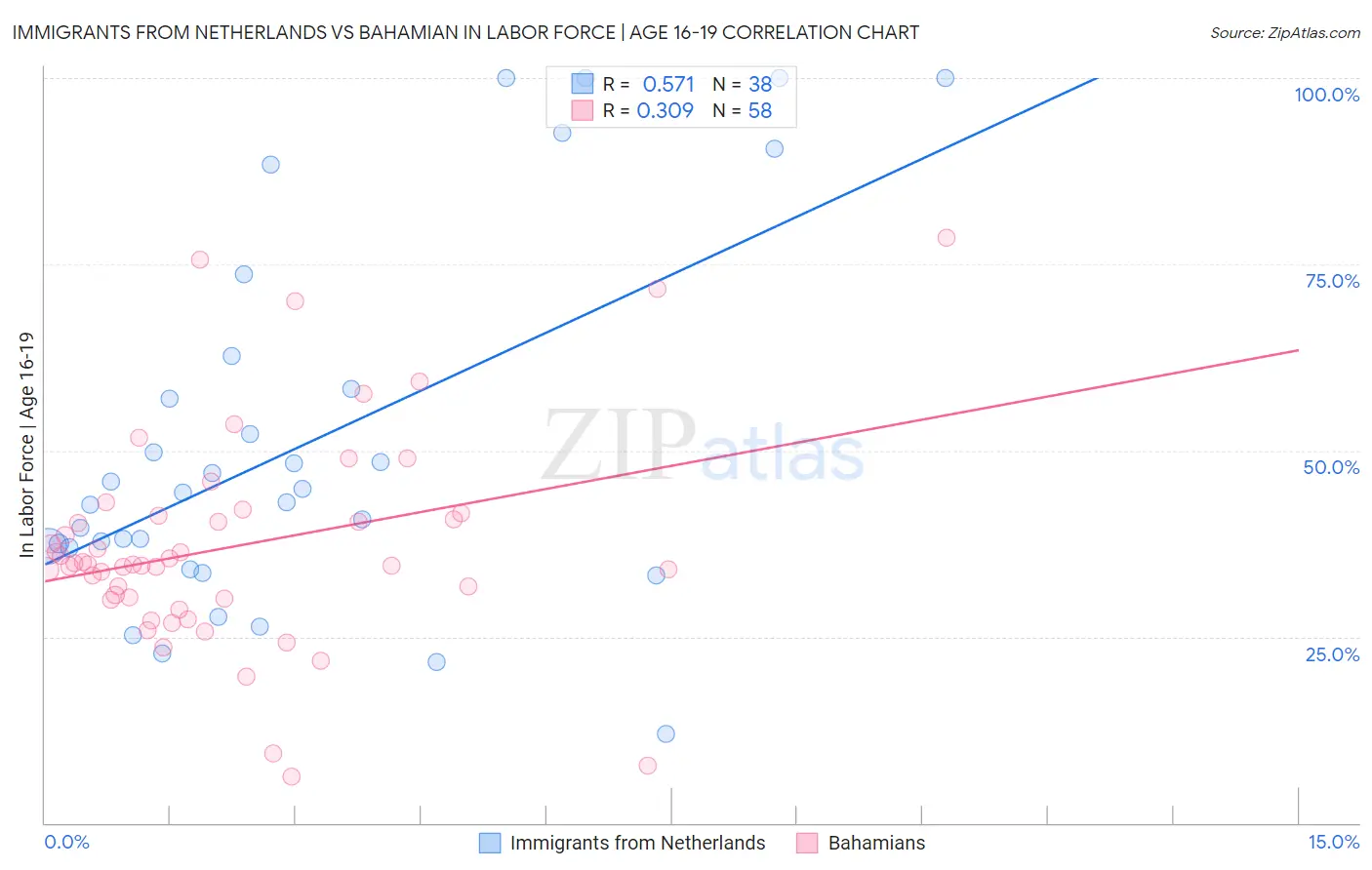 Immigrants from Netherlands vs Bahamian In Labor Force | Age 16-19