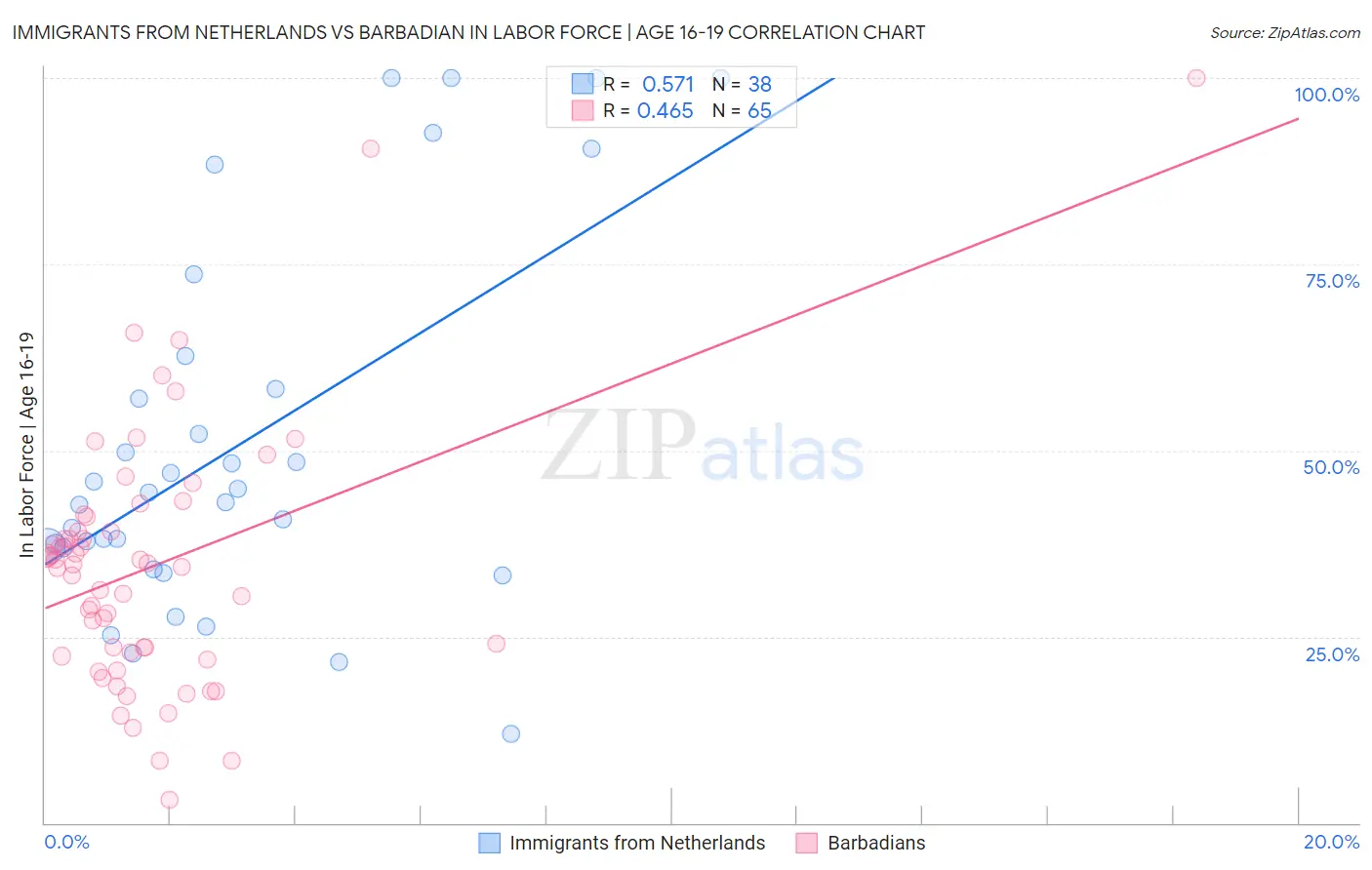 Immigrants from Netherlands vs Barbadian In Labor Force | Age 16-19