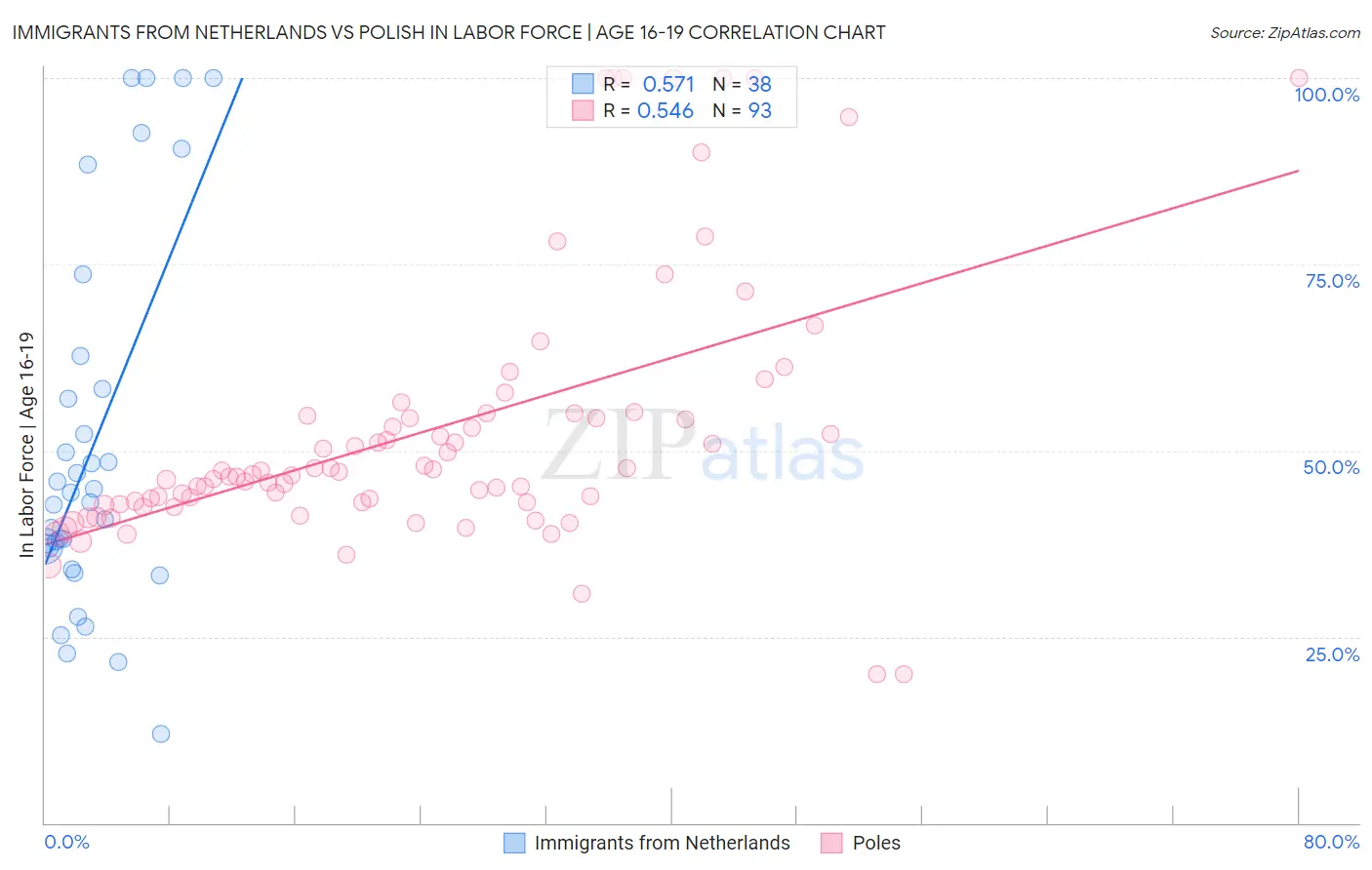 Immigrants from Netherlands vs Polish In Labor Force | Age 16-19