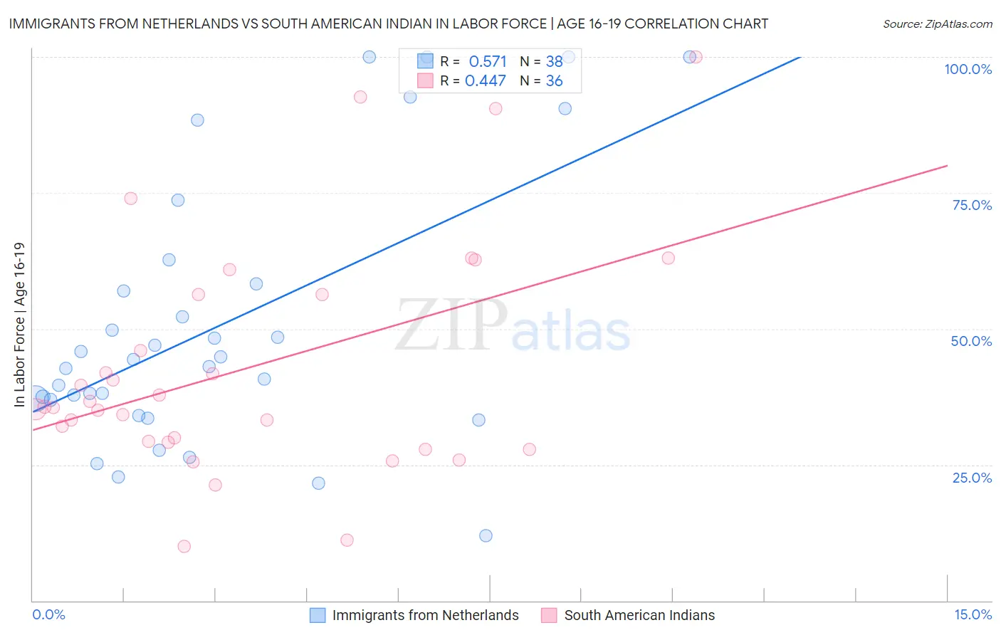 Immigrants from Netherlands vs South American Indian In Labor Force | Age 16-19