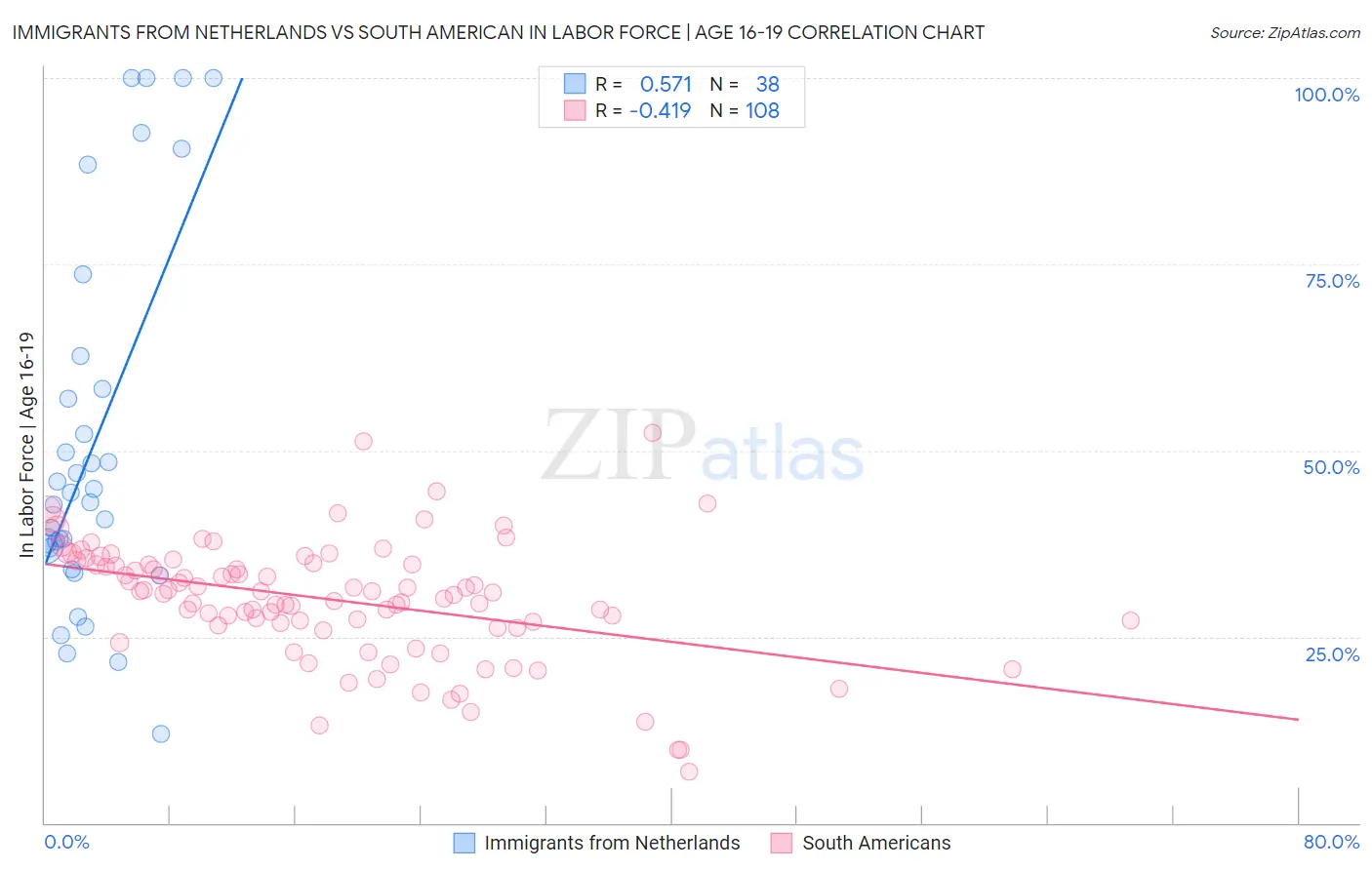 Immigrants from Netherlands vs South American In Labor Force | Age 16-19