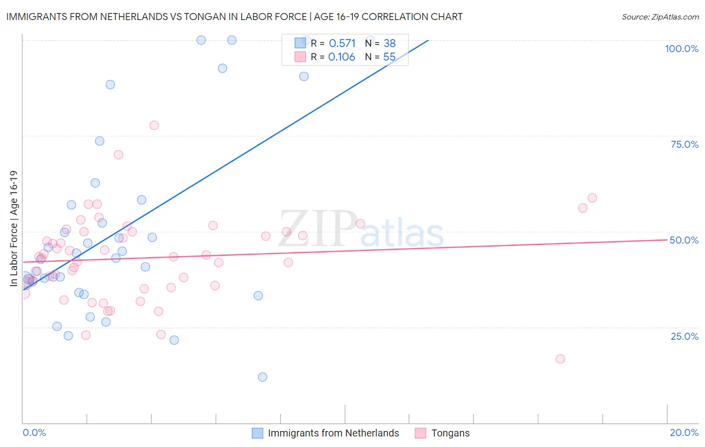 Immigrants from Netherlands vs Tongan In Labor Force | Age 16-19