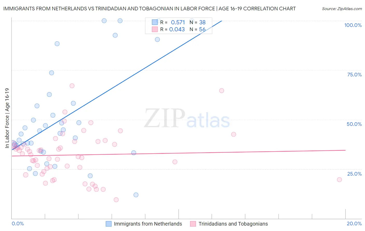 Immigrants from Netherlands vs Trinidadian and Tobagonian In Labor Force | Age 16-19