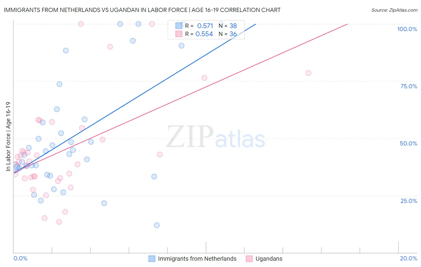 Immigrants from Netherlands vs Ugandan In Labor Force | Age 16-19