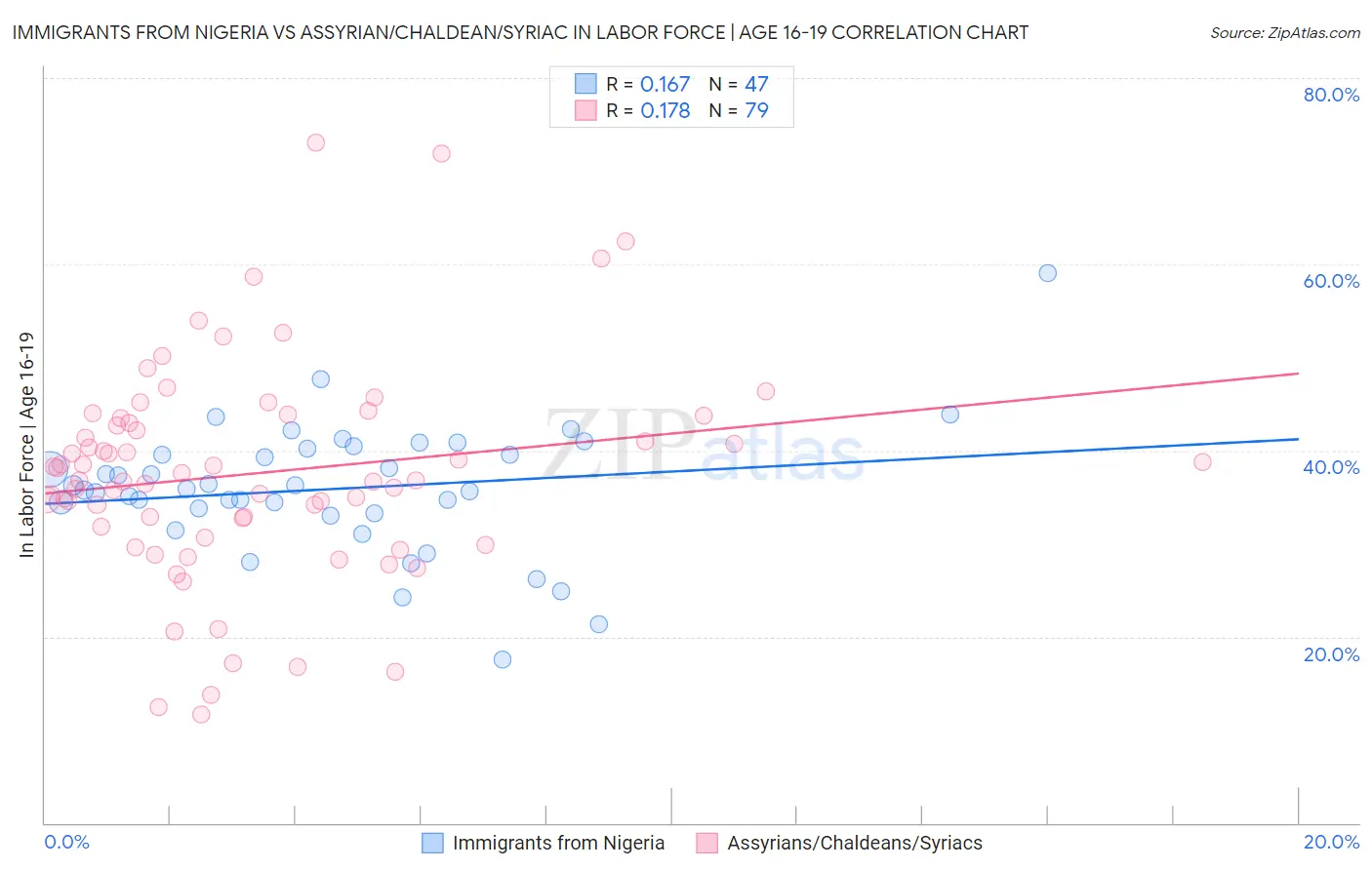 Immigrants from Nigeria vs Assyrian/Chaldean/Syriac In Labor Force | Age 16-19