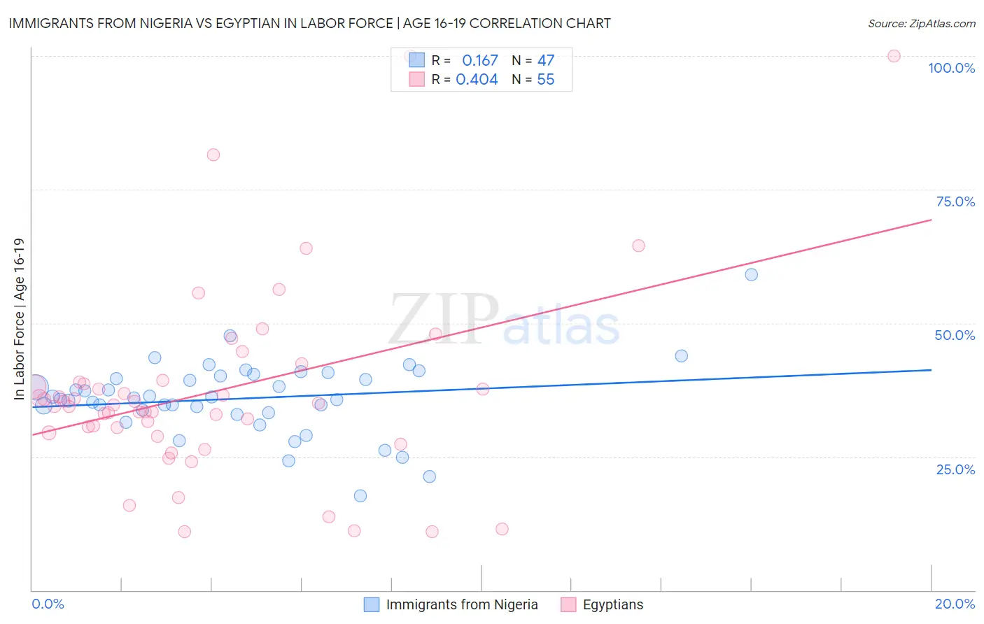 Immigrants from Nigeria vs Egyptian In Labor Force | Age 16-19