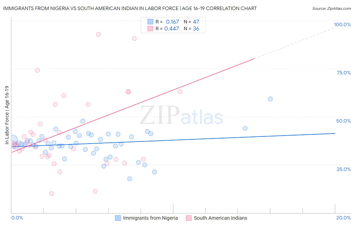 Immigrants from Nigeria vs South American Indian In Labor Force | Age 16-19