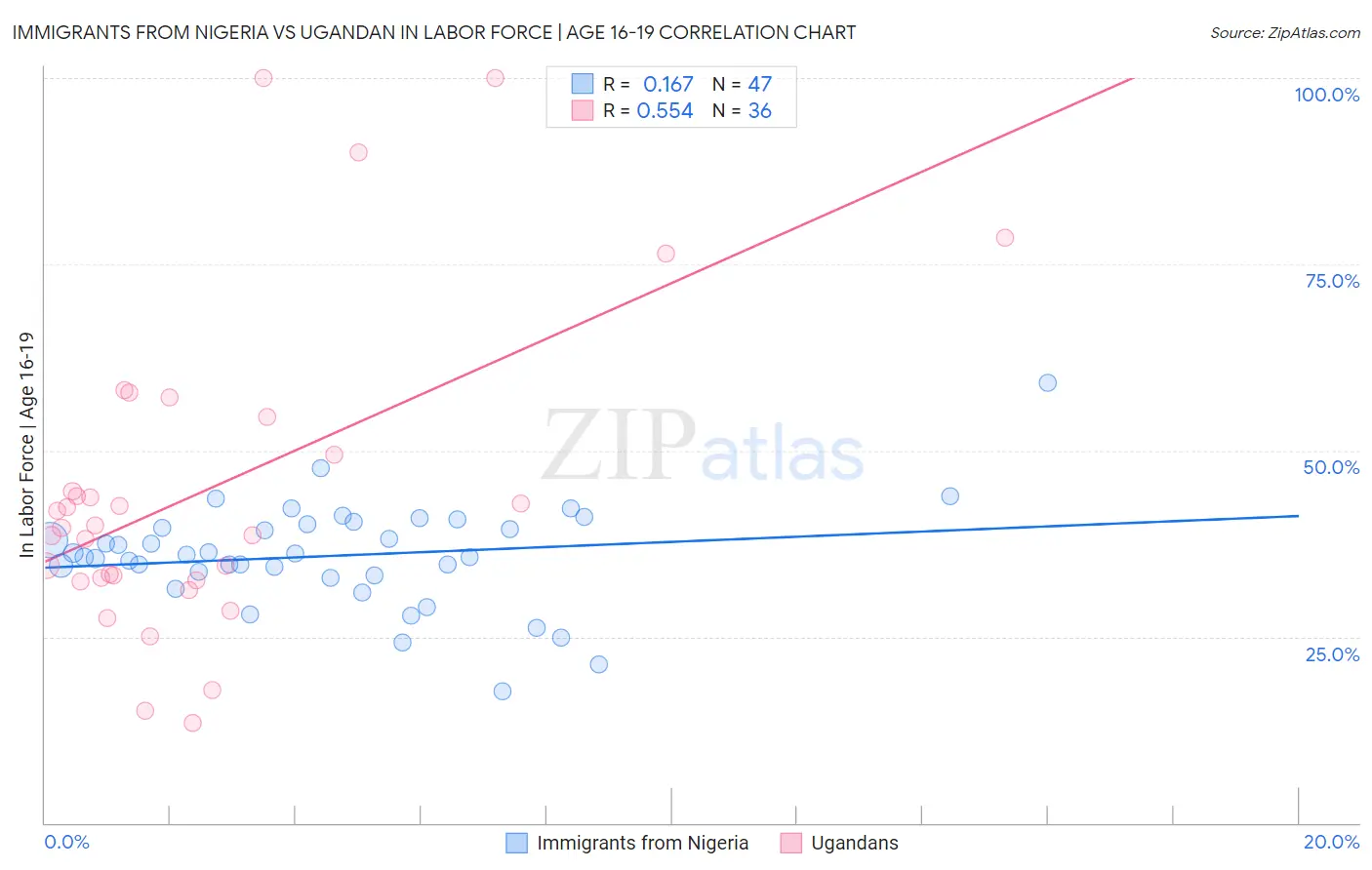 Immigrants from Nigeria vs Ugandan In Labor Force | Age 16-19