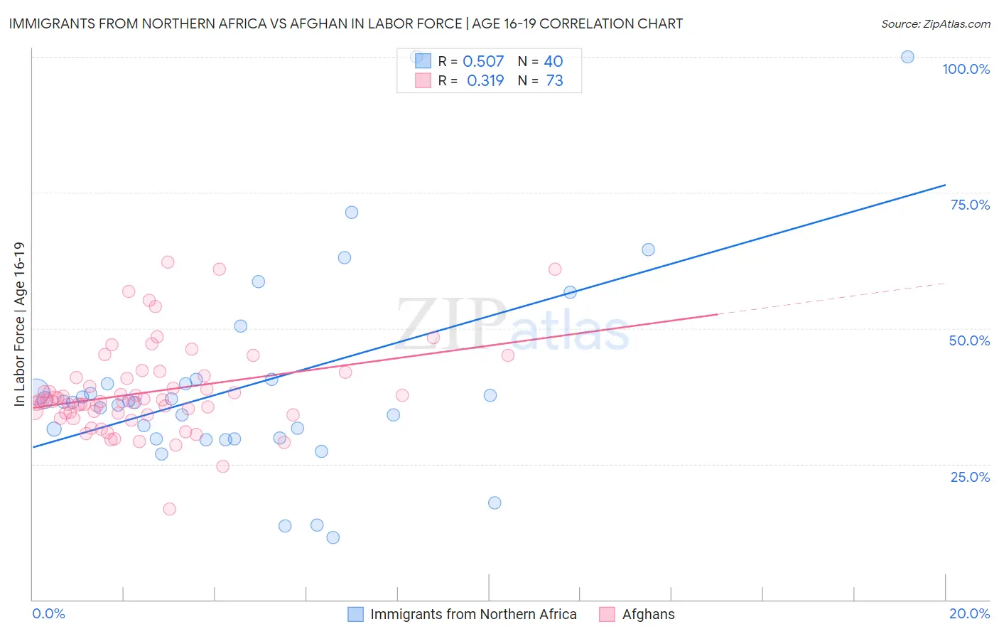 Immigrants from Northern Africa vs Afghan In Labor Force | Age 16-19