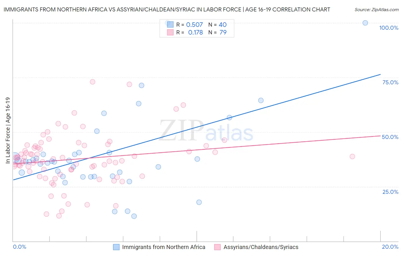 Immigrants from Northern Africa vs Assyrian/Chaldean/Syriac In Labor Force | Age 16-19