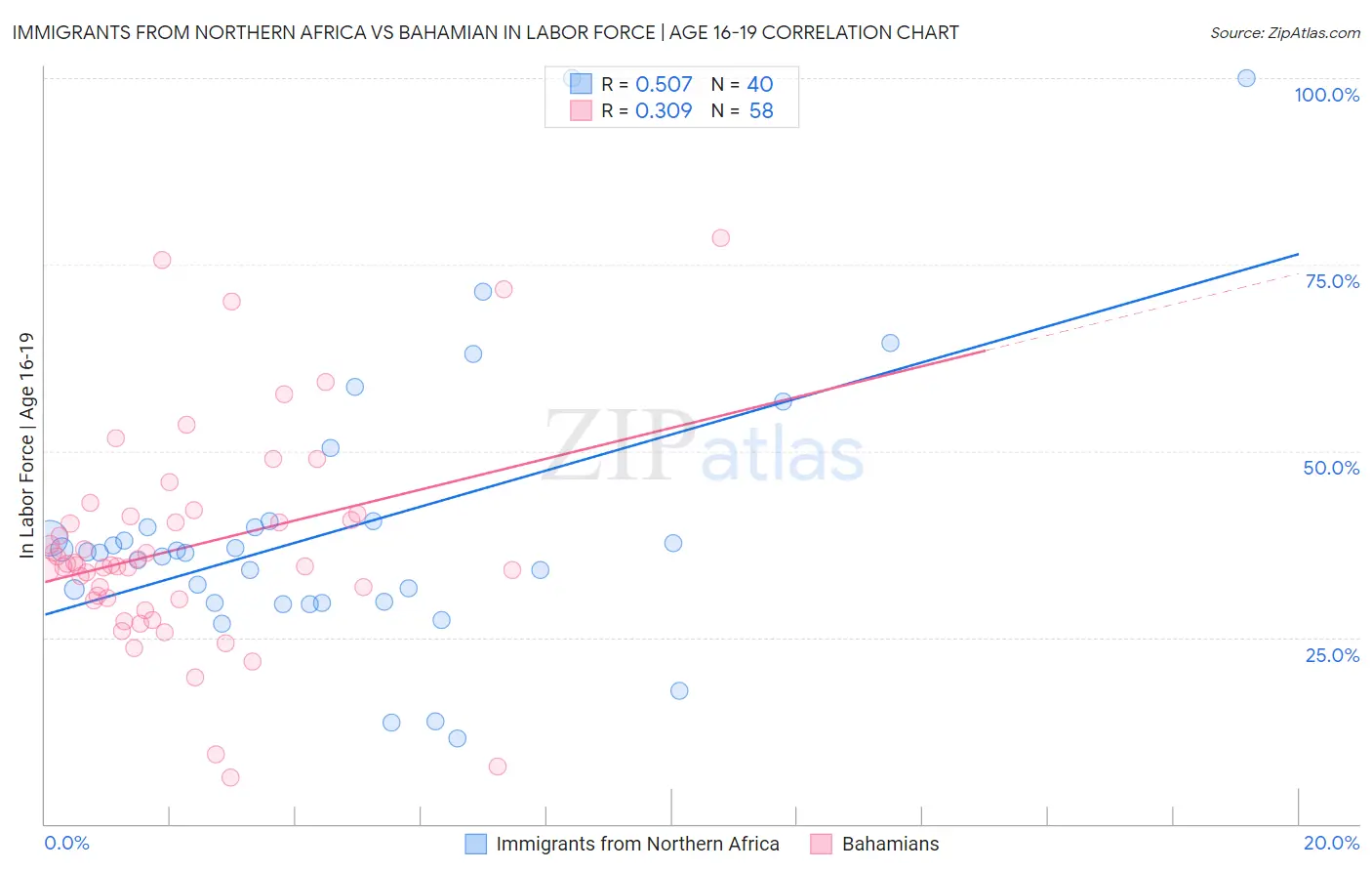 Immigrants from Northern Africa vs Bahamian In Labor Force | Age 16-19