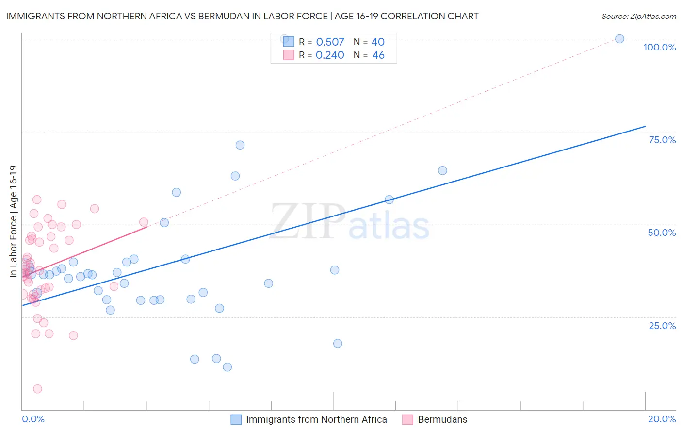 Immigrants from Northern Africa vs Bermudan In Labor Force | Age 16-19