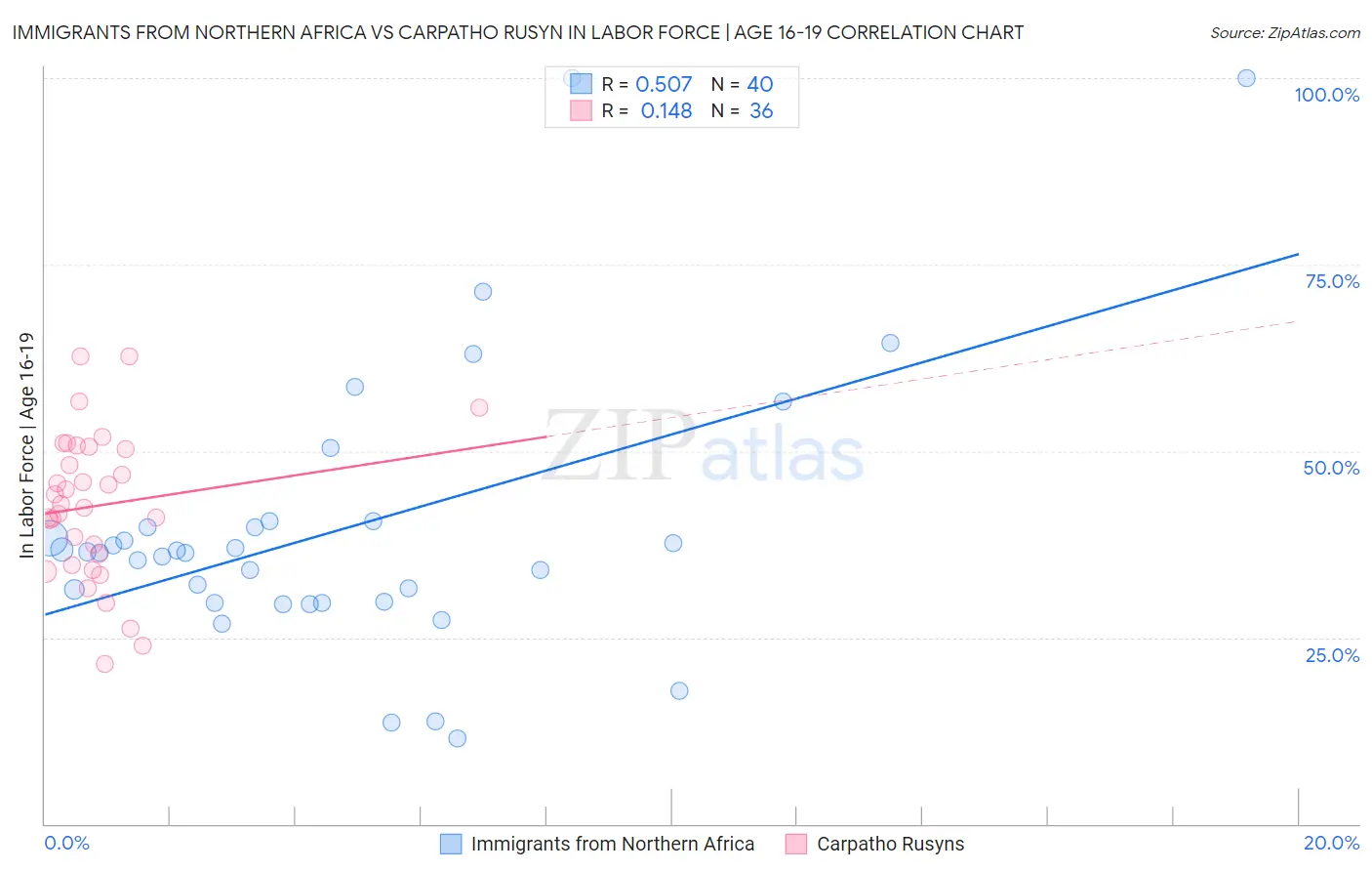 Immigrants from Northern Africa vs Carpatho Rusyn In Labor Force | Age 16-19
