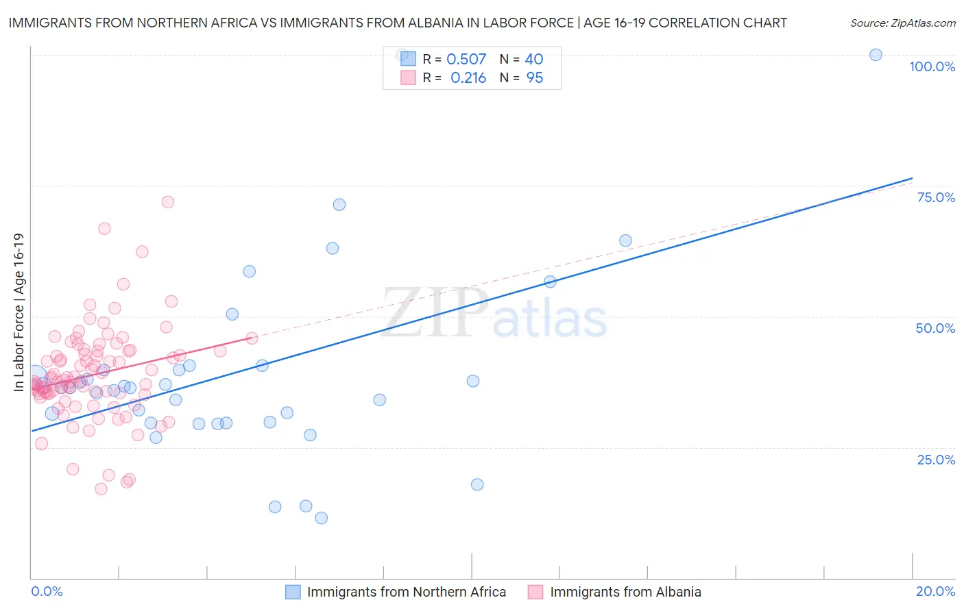 Immigrants from Northern Africa vs Immigrants from Albania In Labor Force | Age 16-19