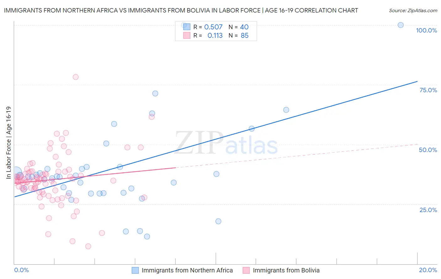 Immigrants from Northern Africa vs Immigrants from Bolivia In Labor Force | Age 16-19