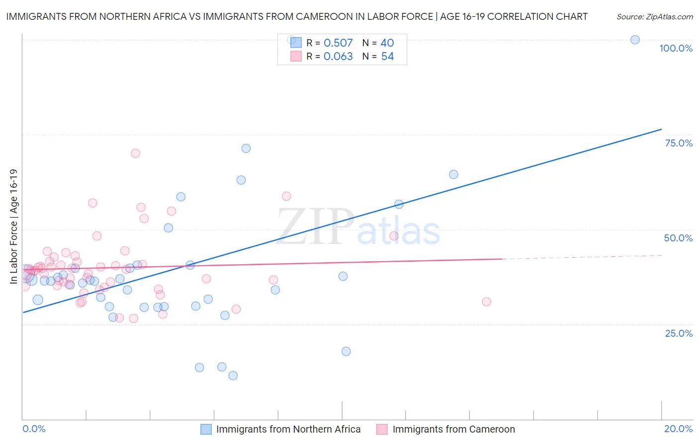 Immigrants from Northern Africa vs Immigrants from Cameroon In Labor Force | Age 16-19