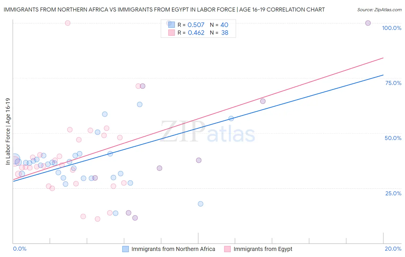 Immigrants from Northern Africa vs Immigrants from Egypt In Labor Force | Age 16-19