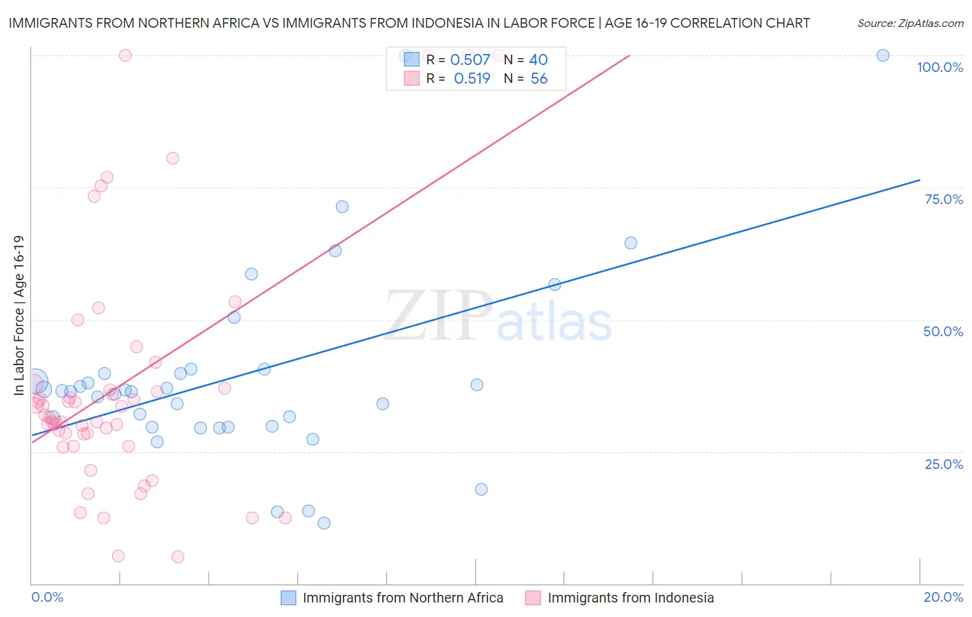 Immigrants from Northern Africa vs Immigrants from Indonesia In Labor Force | Age 16-19