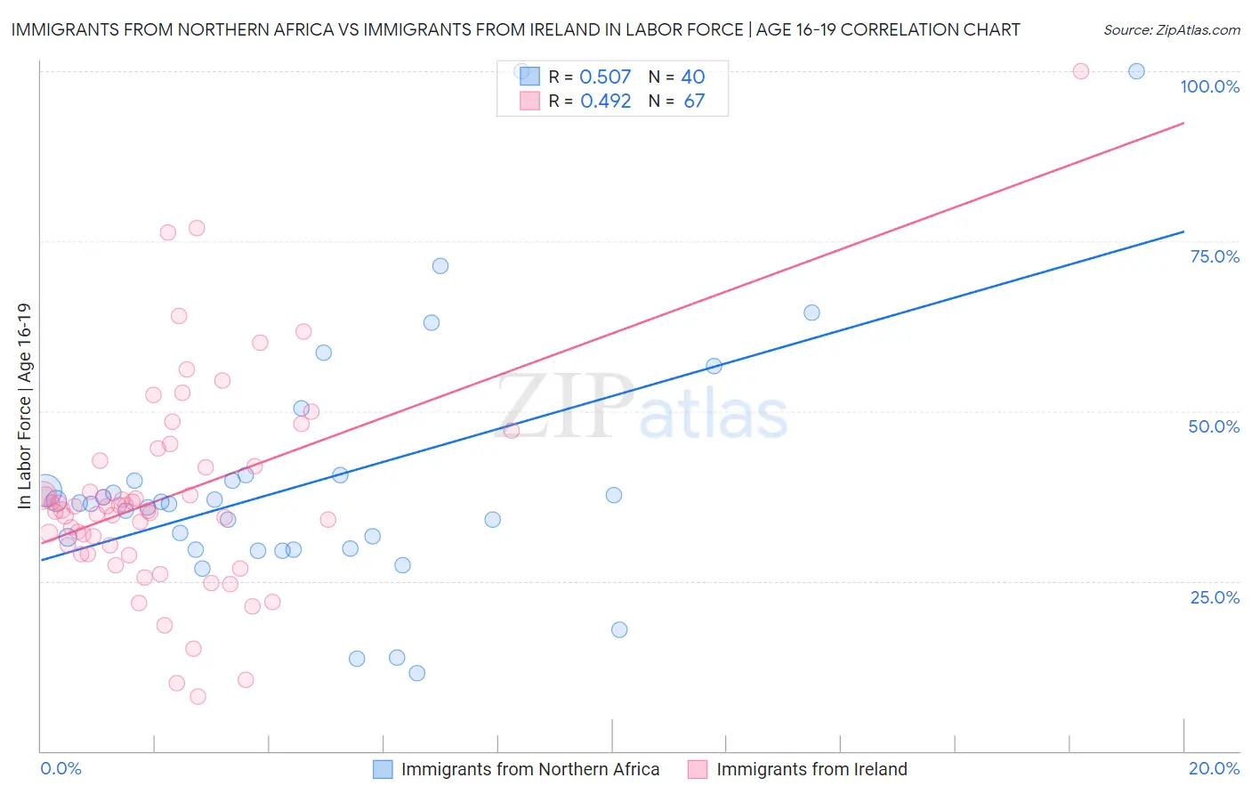 Immigrants from Northern Africa vs Immigrants from Ireland In Labor Force | Age 16-19