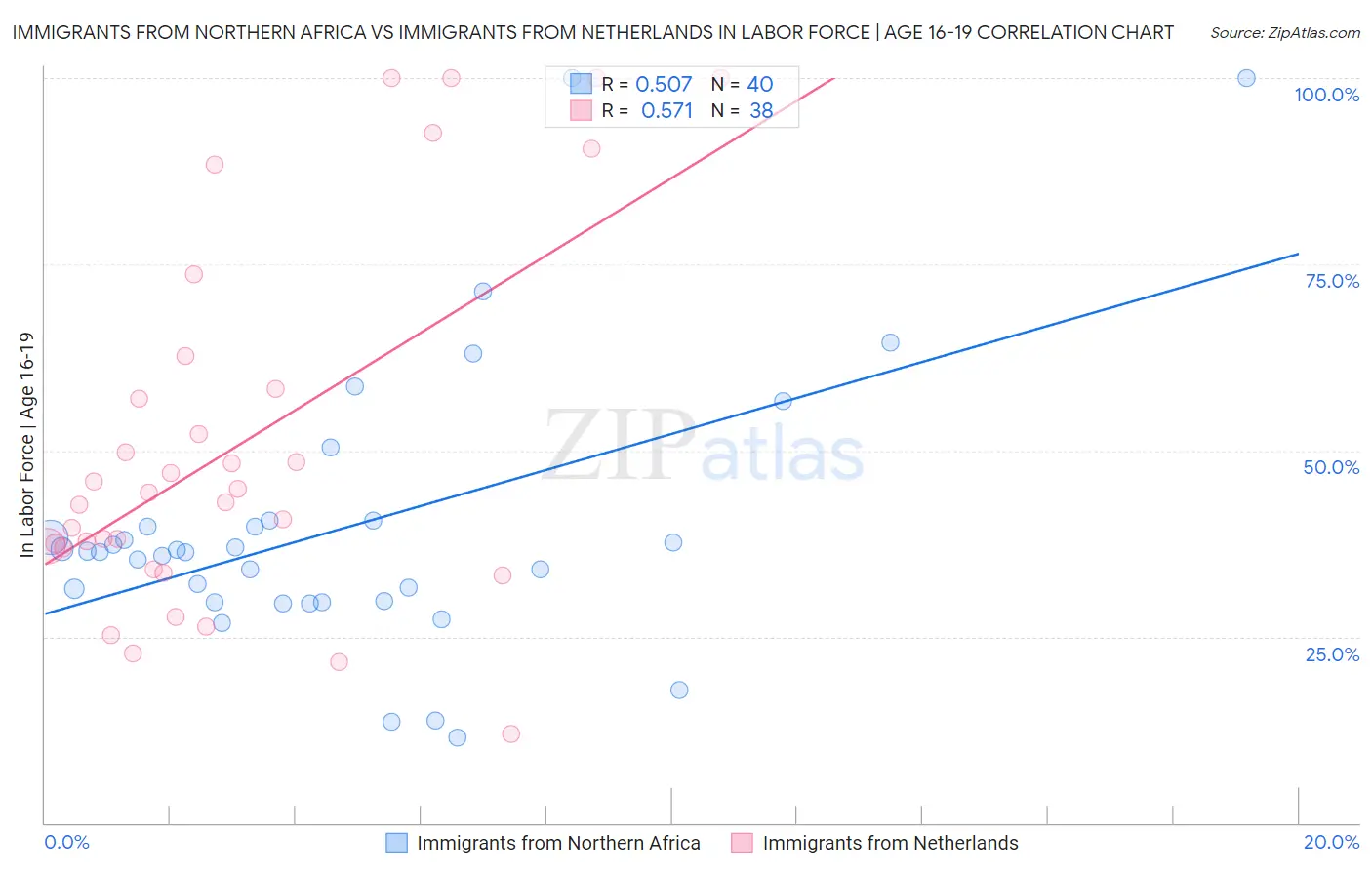 Immigrants from Northern Africa vs Immigrants from Netherlands In Labor Force | Age 16-19