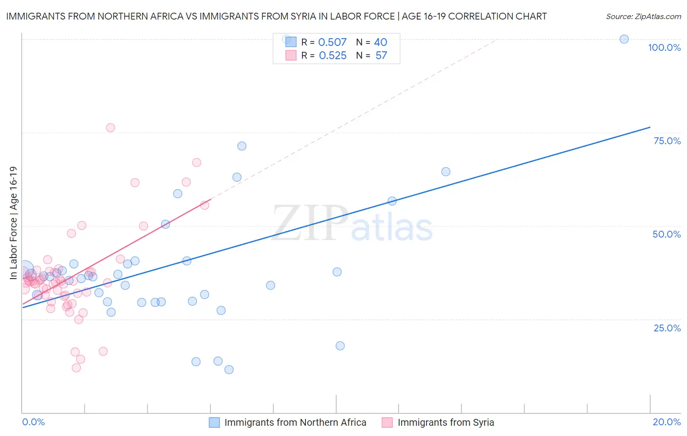 Immigrants from Northern Africa vs Immigrants from Syria In Labor Force | Age 16-19