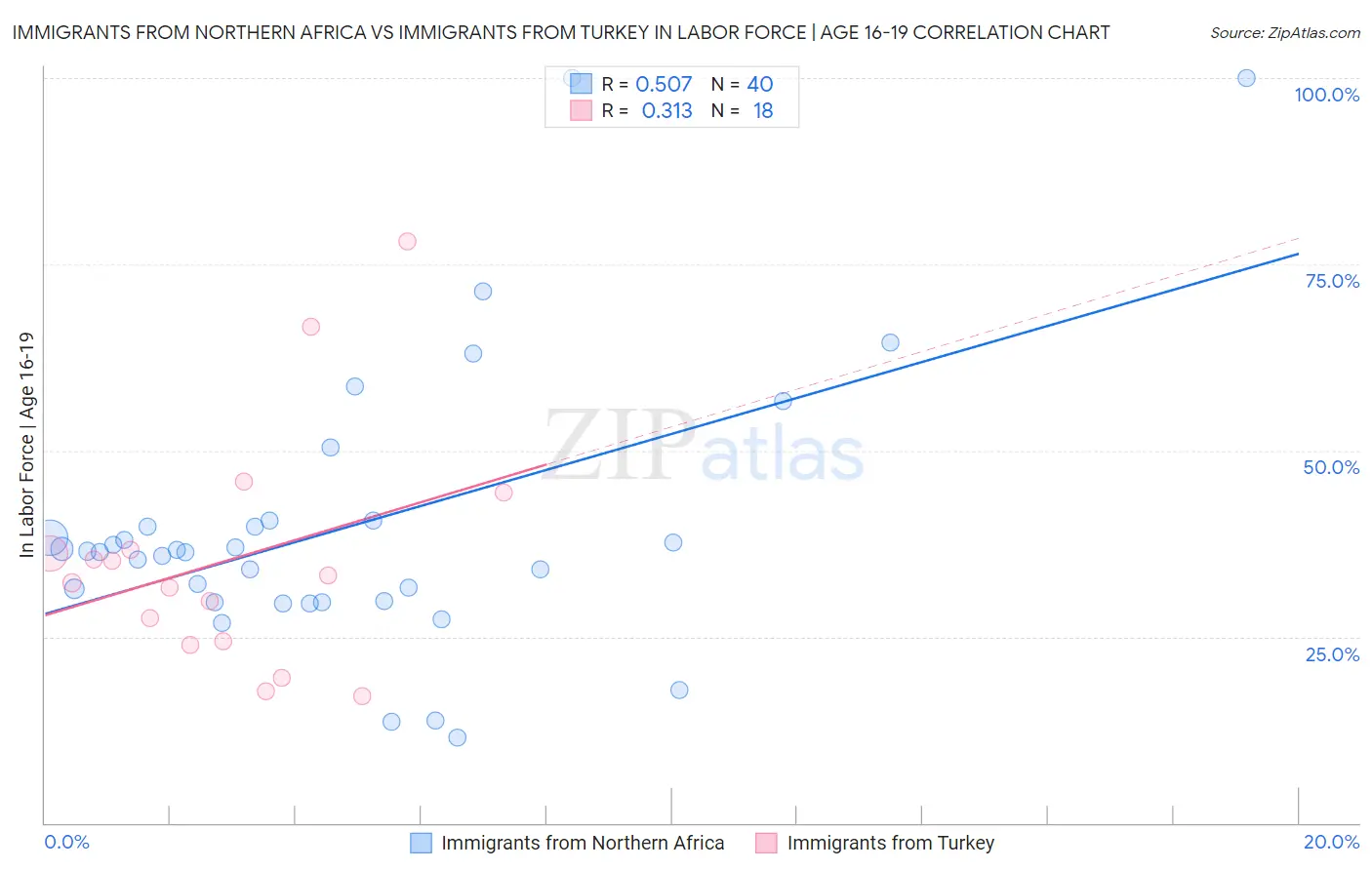 Immigrants from Northern Africa vs Immigrants from Turkey In Labor Force | Age 16-19