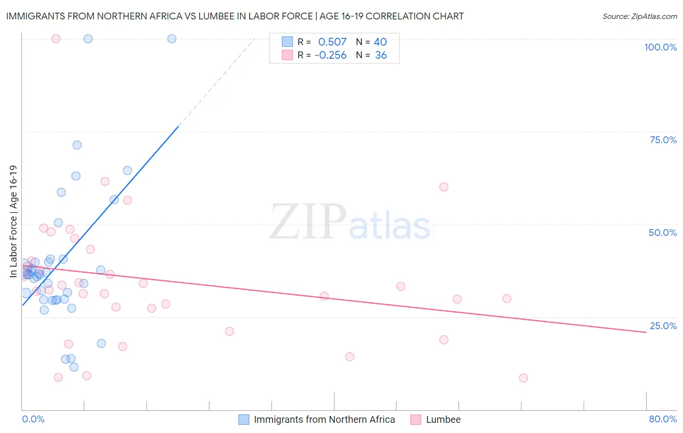 Immigrants from Northern Africa vs Lumbee In Labor Force | Age 16-19