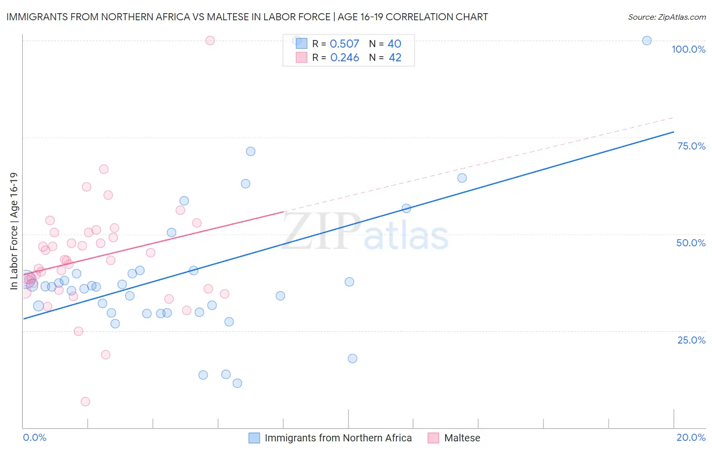 Immigrants from Northern Africa vs Maltese In Labor Force | Age 16-19