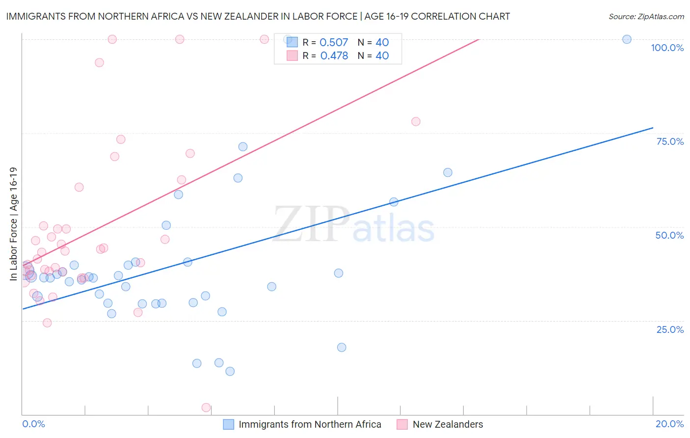 Immigrants from Northern Africa vs New Zealander In Labor Force | Age 16-19