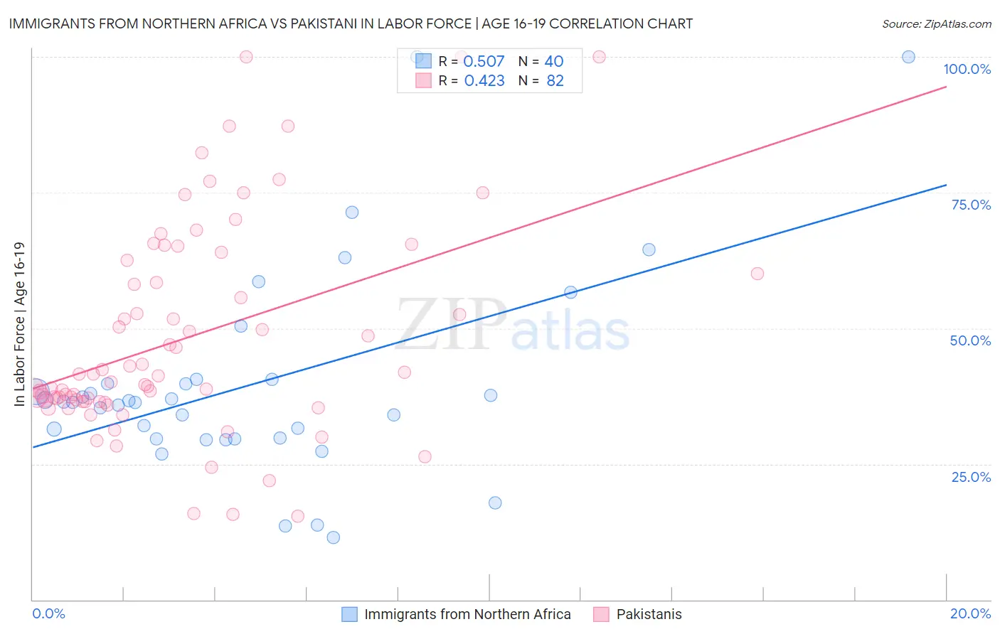 Immigrants from Northern Africa vs Pakistani In Labor Force | Age 16-19