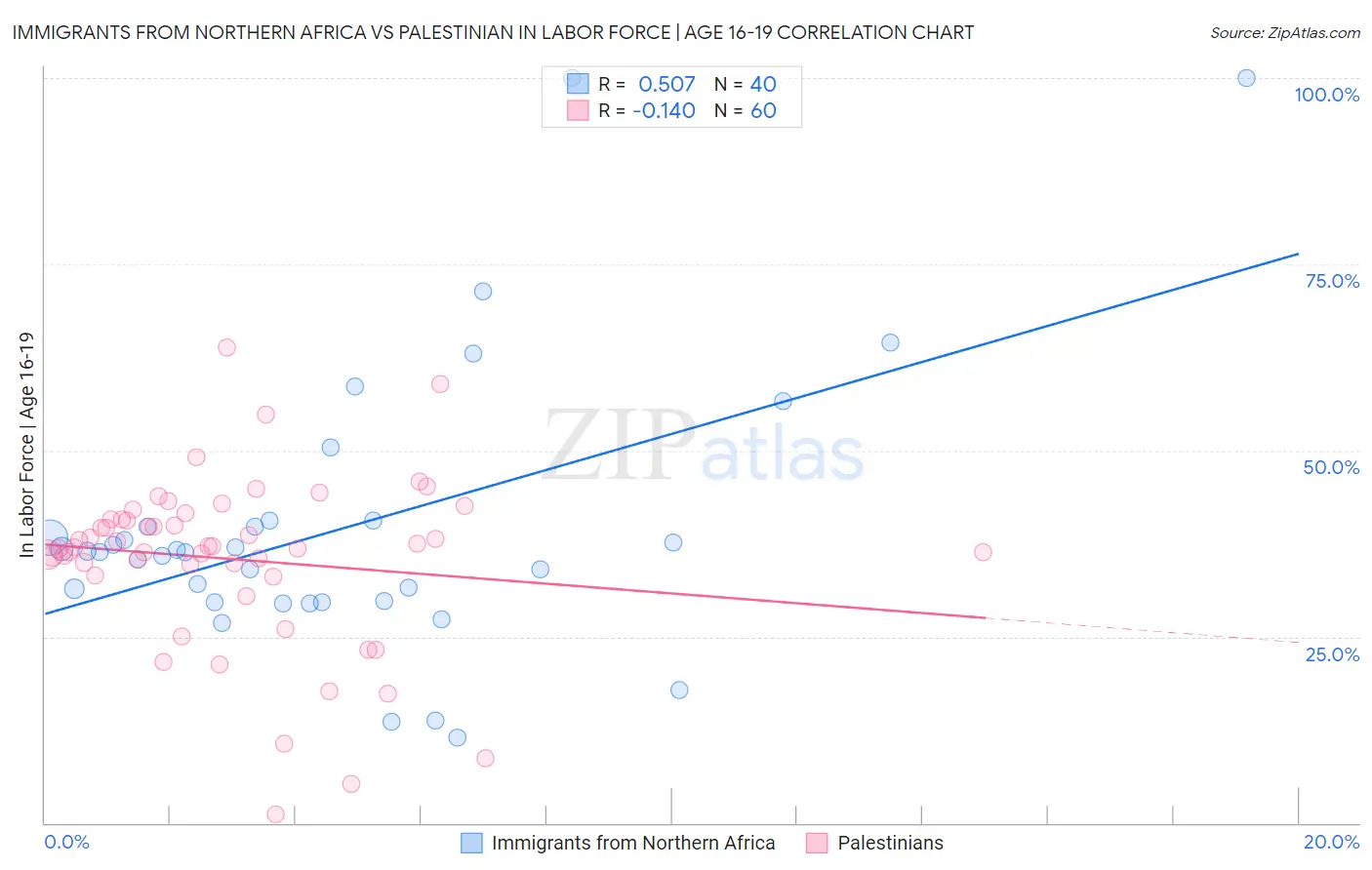 Immigrants from Northern Africa vs Palestinian In Labor Force | Age 16-19