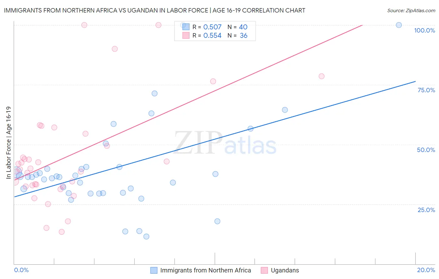 Immigrants from Northern Africa vs Ugandan In Labor Force | Age 16-19