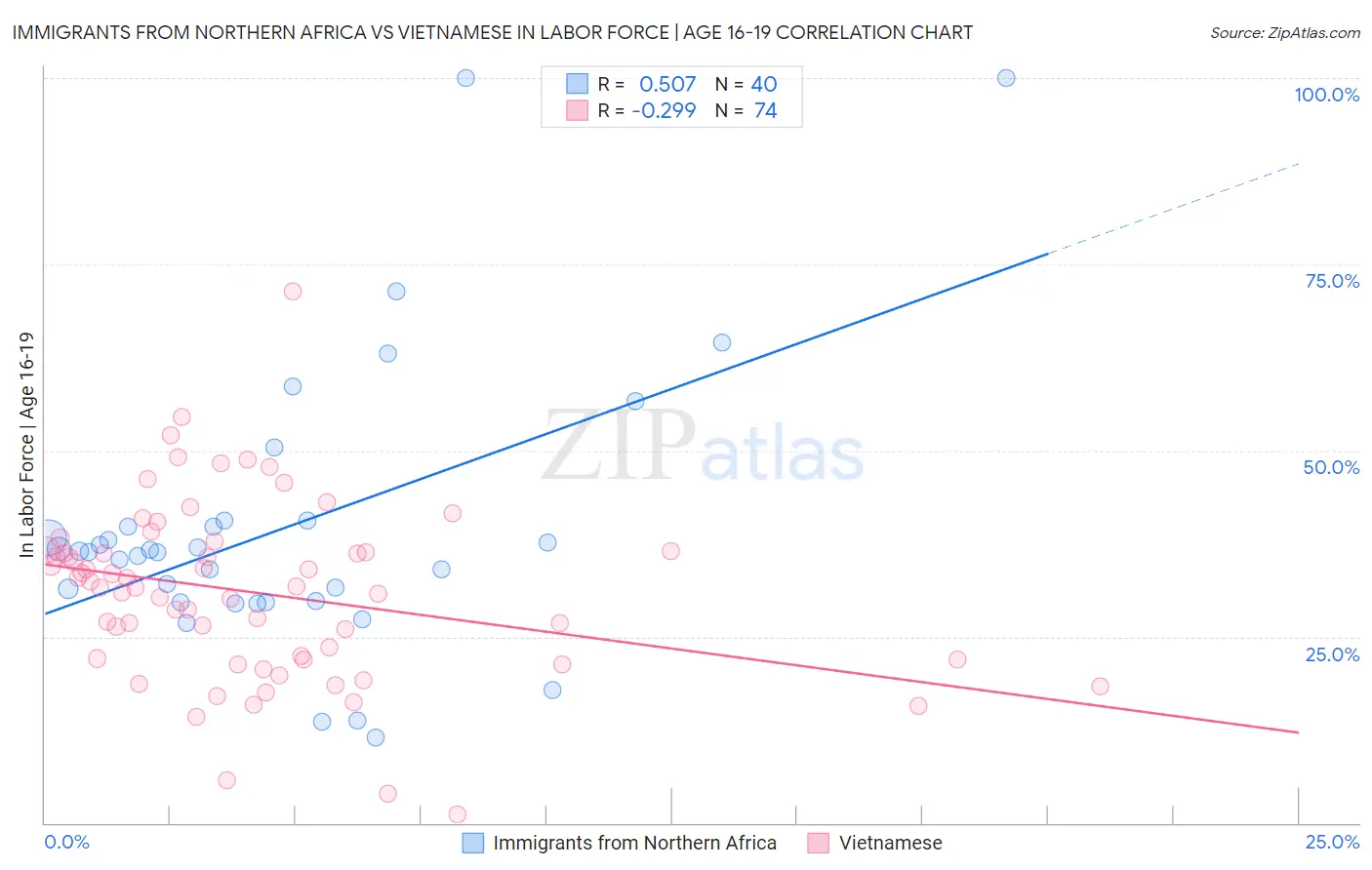 Immigrants from Northern Africa vs Vietnamese In Labor Force | Age 16-19